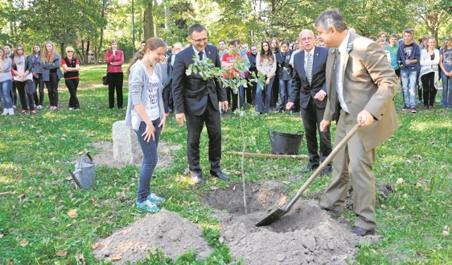 Dęby posadzono w czwartek przy ul. Kcyńskiej