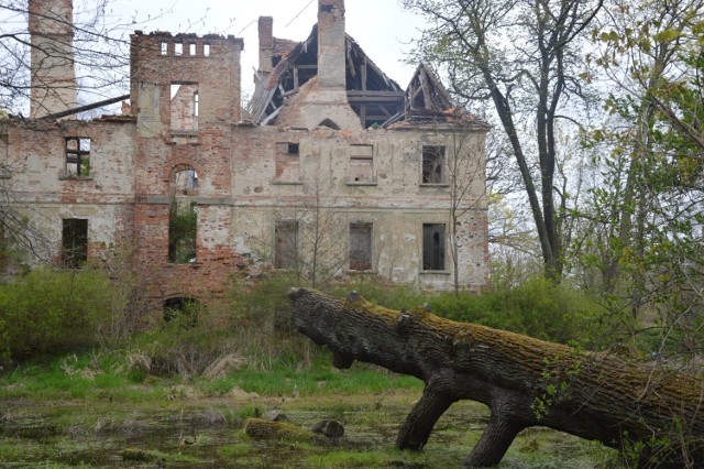 Zarówno zabytkowy pałac w Studzieńcu oraz okoliczny teren, wymagają gruntownej rewitalizacji