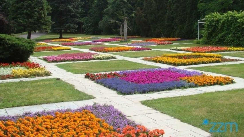 Kwiatowe ogrody na poznańskiej Cytadeli zachwycają wyglądem...