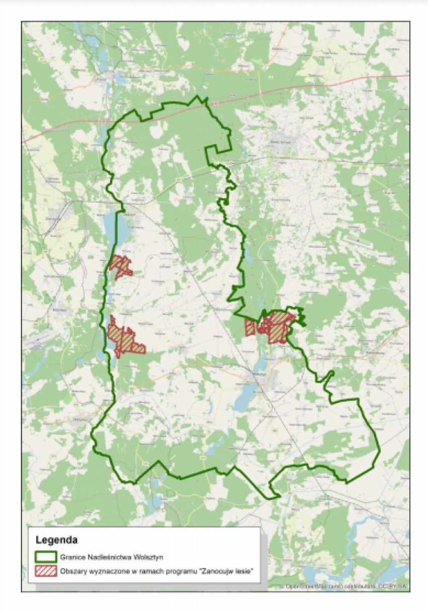 "Zanocuj w lesie". Gdzie w gminie Zbąszyń można rozbić namiot? Zobacz mapę