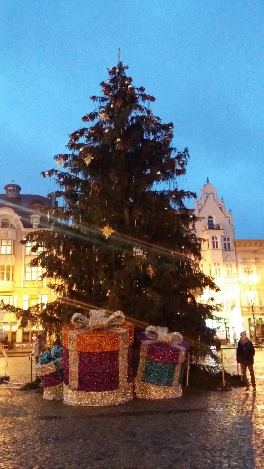 Świąteczne drzewko na Starym Rynku rozbłysło światełkami [zdjęcia, wideo]