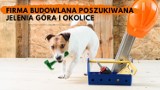 Kto pomoże psiakom? Poszukiwane są firmy z Jeleniej Góry i okolic!