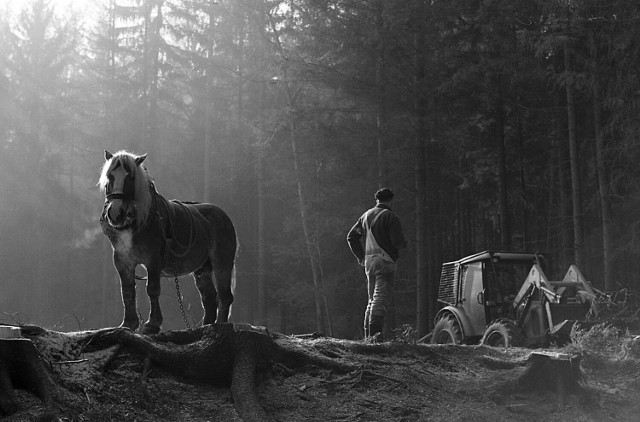 Gołuchów. Magiczne fotografie gór i lasów Adama Bencala