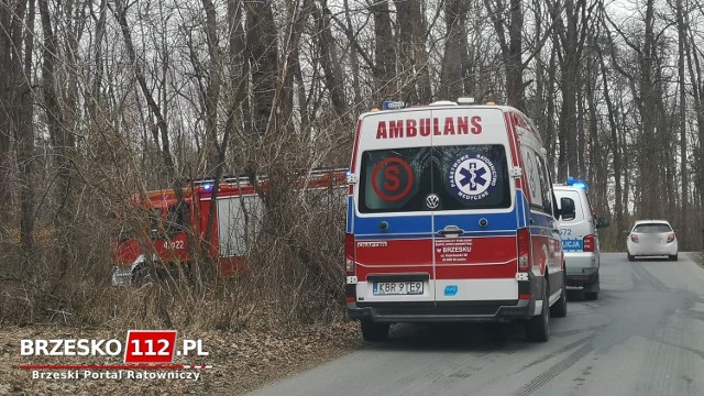 Ciało znaleziono w lesie między Brzeskiem a Szczepanowem