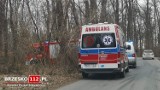 Brzesko. W lesie znaleziono ciało mężczyzny. Na miejscu trwają czynności policji i prokuratury