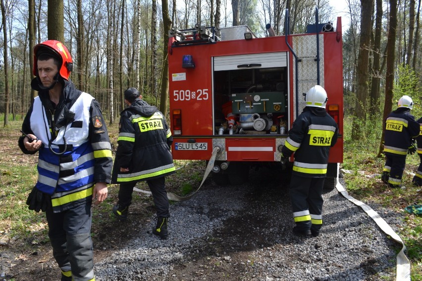 Ostrów, Lubockie: 13 jednostek straży pożarnej gasiło wielki pożar w lesie. Konieczny był zrzut wody ze śmigłowca [zdj.]