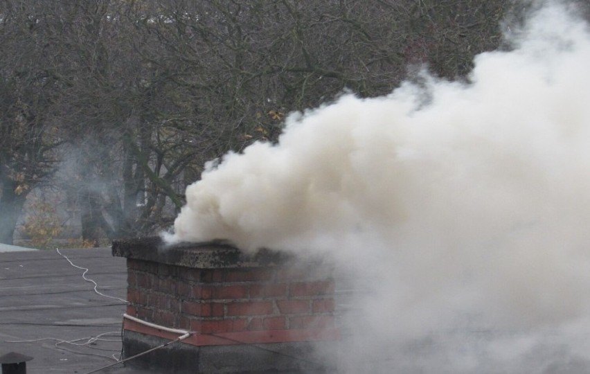 Smogowy List do sąsiada. Jest uniwersalna wersja pisma do wykorzystania w każdej z gmin przygotowana przez Sieradzki Alarm Smogowy ZDJĘCIA