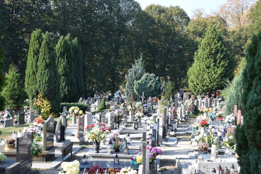 Czy można odwiedzać groby zmarłych? Burmistrz nie zamknął cmentarza w Świebodzinie 