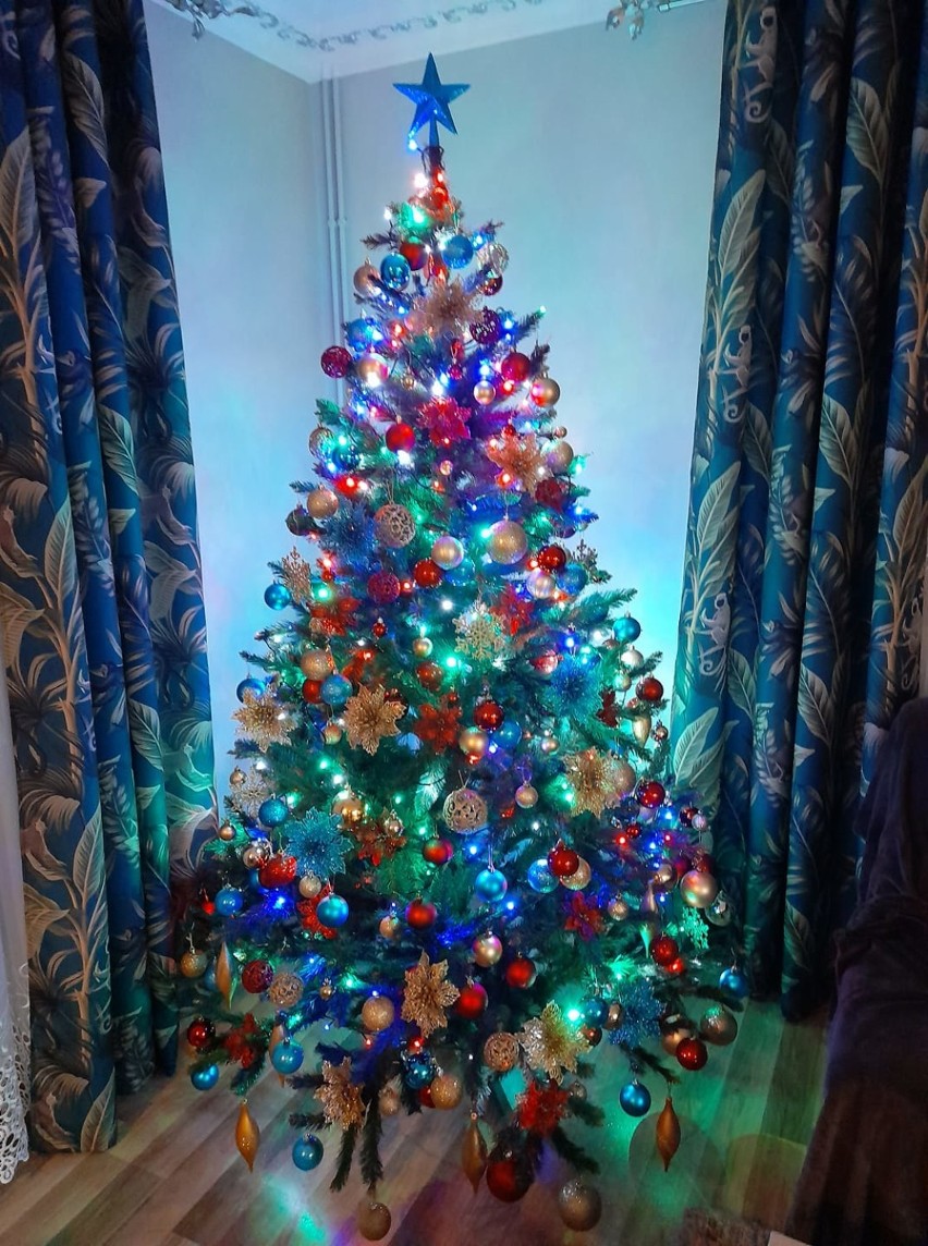 Bożonarodzeniowe drzewka naszych Czytelników, którymi...