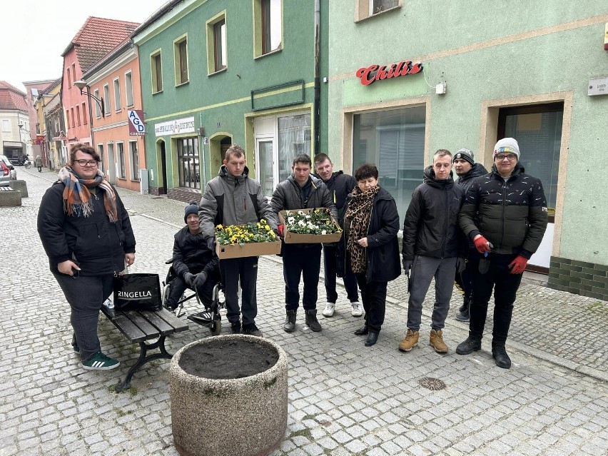 Młodzież z SOSW w Żaganiu sadziła bratki na ul. Słowackiego
