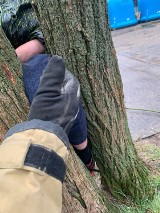 Chłopiec utknął między dwoma konarami drzew. Pomogli strażacy z OSP Przemków