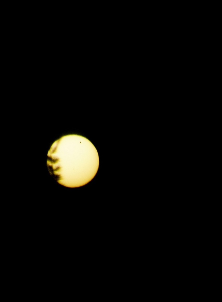 Przejście Wenus na tle tarczy Słońca to tak rzadkie...