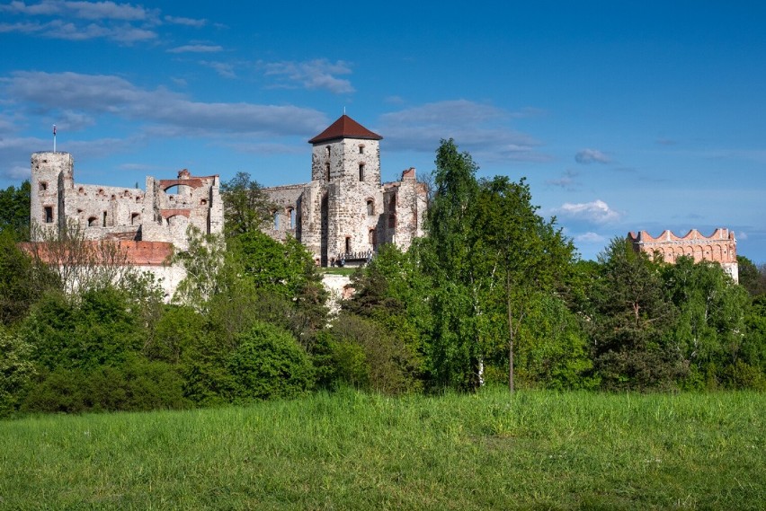 Zamek Tenczyn w Rudnie