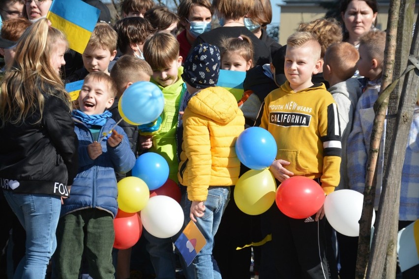 Kujawsko-Pomorski Dzień Solidarności z Ukrainą -...