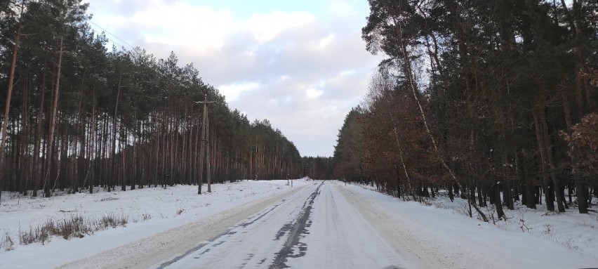 Lodowisko na drogach. Zima wygrywa z drogowcami?