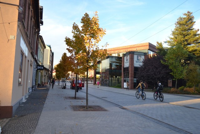 Przepiękna złota jesień w centrum Jaworzna