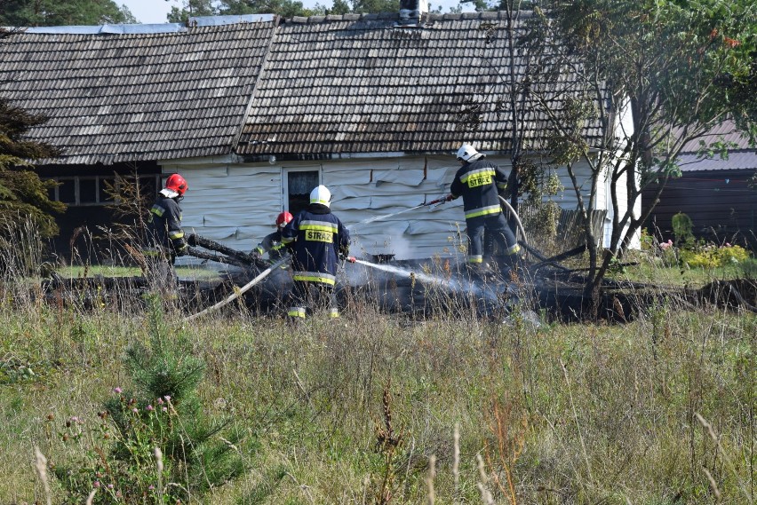 Pożar w Polankach! A zaczęło się niewinnie, bo od ogniska (zdjęcia) 