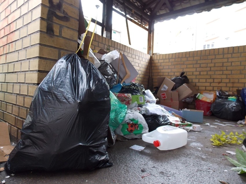 Do 31 marca śmieci w sporej części miasta odbiera Eneris...
