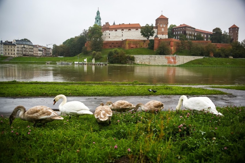 Zalane bulwary wiślane