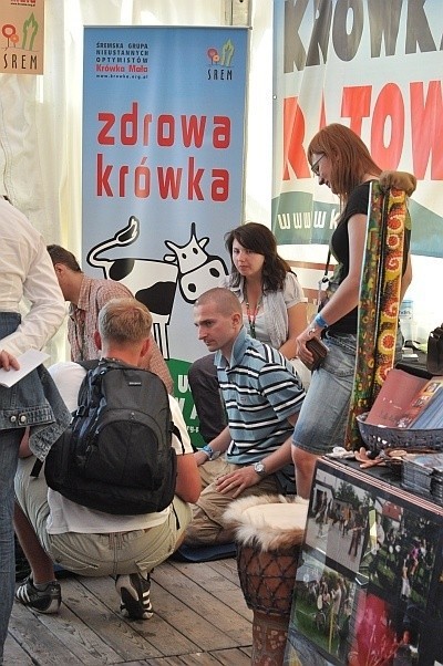 Śrem: Krówka Mała na Open`er Festival 2010! Zdjęcia