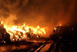 Ogromny pożar pod Łodzią. Podpalono bele słomy w zakładach mięsnych [ZDJĘCIA+FILM]
