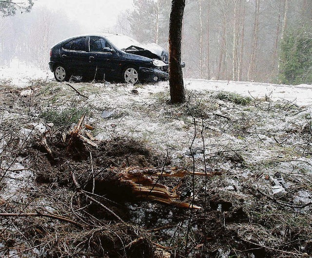 Ten samochód wypadł z drogi i wylądował w lesie, wyrywając po drodze drzewa z korzeniami