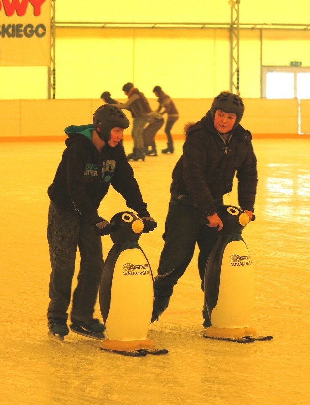 Pingwiny z Bełchatowa grały w serialu "Komisarz Alex".
