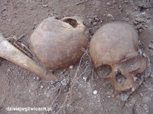 Odkrycie na starówce w Gliwicach. Kości leżały pół metra pod ziemią [ZDJĘCIA, WIDEO]
