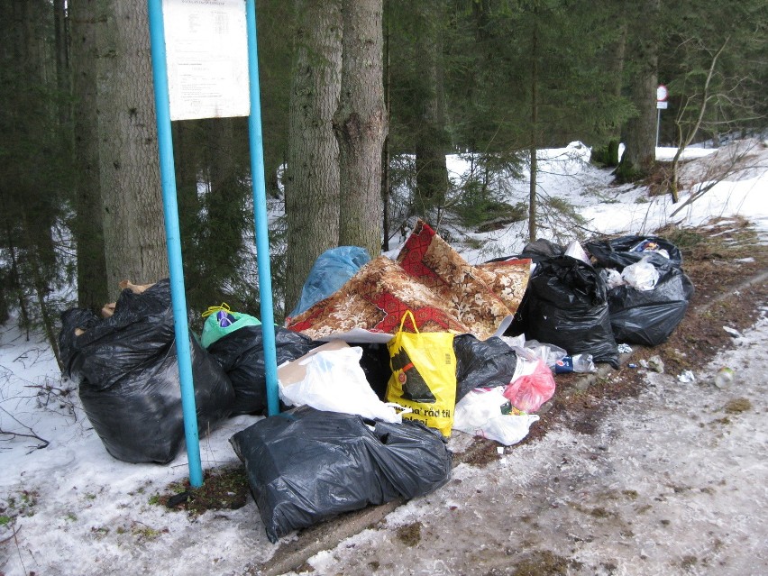 To górale zaśmiecają lasy! Oto dowód! [ZDJĘCIA]