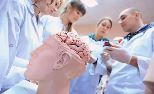 Zajęcia z anatomii ma łącznie 29 kierunków studiów stacjonarnych i niestacjonarnych