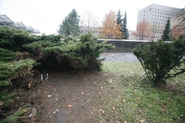 Sosnowiec: Zwłoki leżały rok obok szpitala. Jak to możliwe? [NOWE FAKTY]