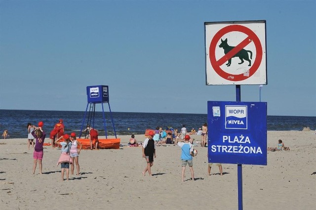 Ratownicy muszą mieć godziwe warunki wypoczynku, aby w ciągu dnia strzec bezpieczeństwa plażowiczów