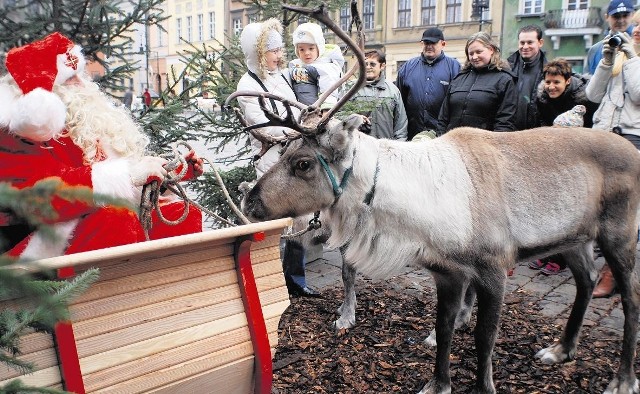 Także w tym roku na Starym Rynku można będzie poczuć świąteczny klimat