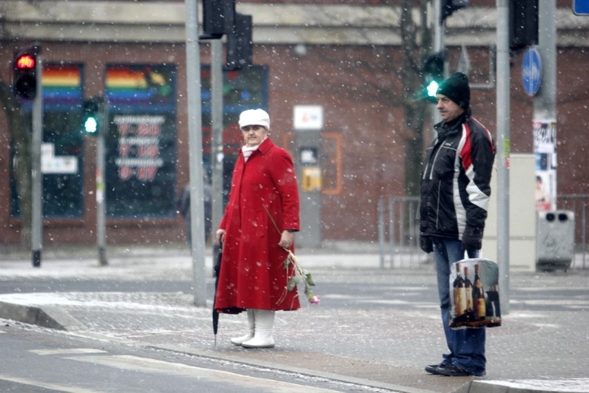 Wrocław: Poprószył śnieg, ślisko na ulicach (ZDJĘCIA, PROGNOZA POGODY)
