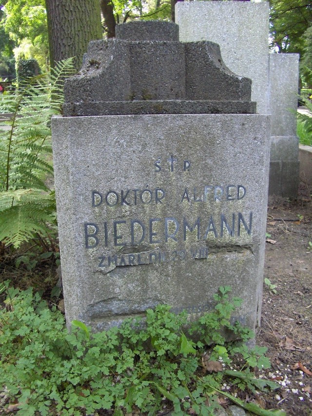 Największym poparciem internautów cieszył się pomnik Alfreda Biedermanna.