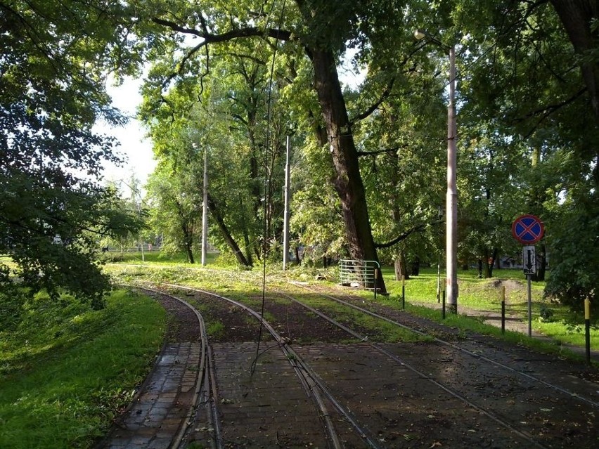 Wrocław liczy straty po burzy (FILM, ZDJĘCIA)