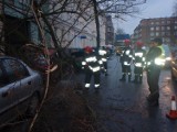 Poznań: Ciężarówka uderzyła w drzewo. Ranna kobieta [ZDJĘCIA]
