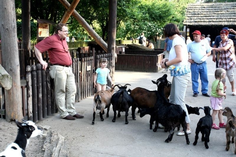 Wrocław: &quot;Wieczór marzeń&quot; w zoo