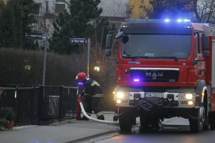 Wrocław: Pożar w budynku przy ul. Wełnianej. Ofiarami dwa koty i pies 