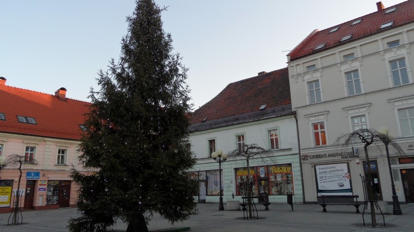 Choinka w Mikołowie