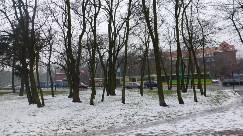 Mieszkańcy zjednoczyli siły i rozpoczęli batalię o plac...