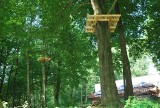 Wodzisław Śląski: Nad Balatonem powstaje park linowy