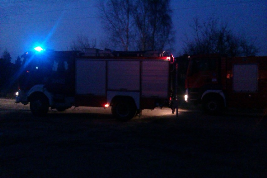 Wrocław: Pożar w Parku Tysiąclecia (ZDJĘCIA)