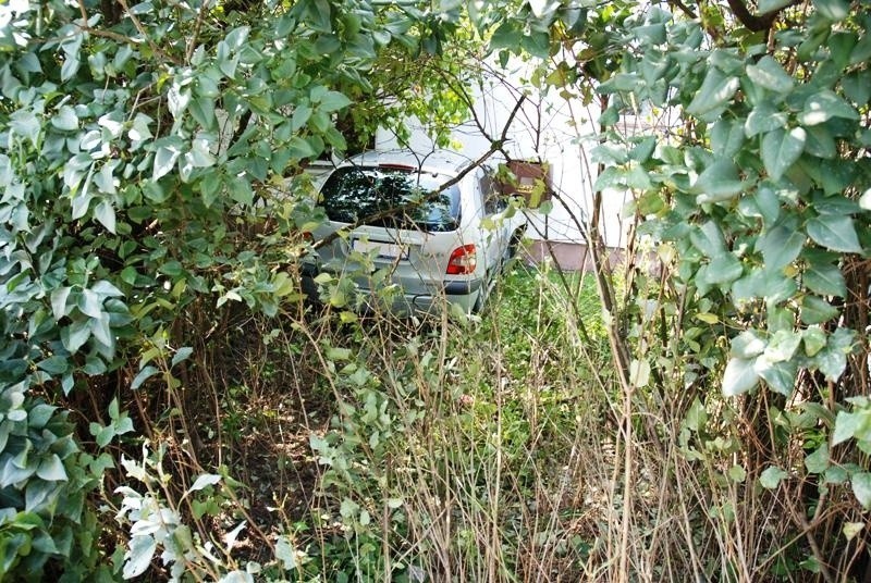 Rososz: Renault zaparkowało... na ścianie domu
