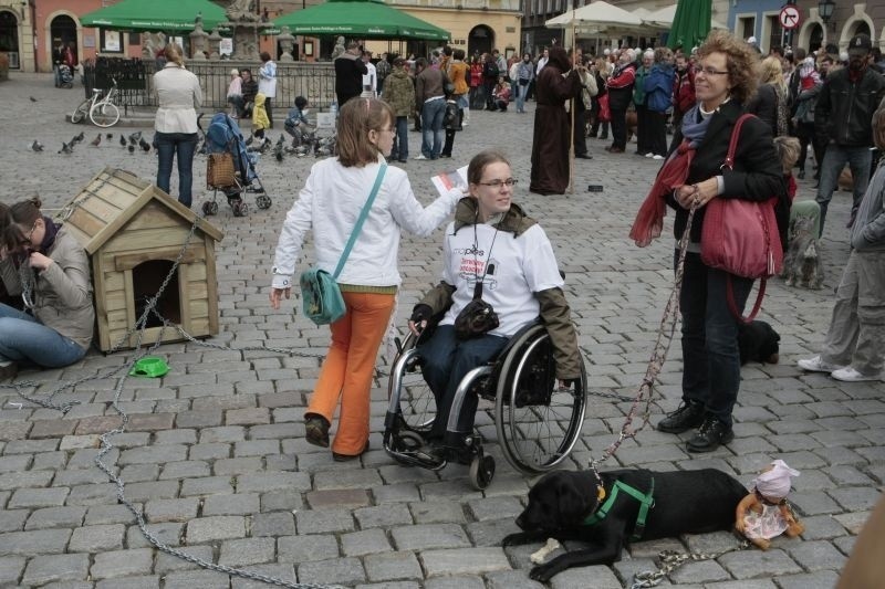 Poznań: Akcja &quot;Zerwijmy łańcuchy&quot; na Starym Rynku. Zdjęcia