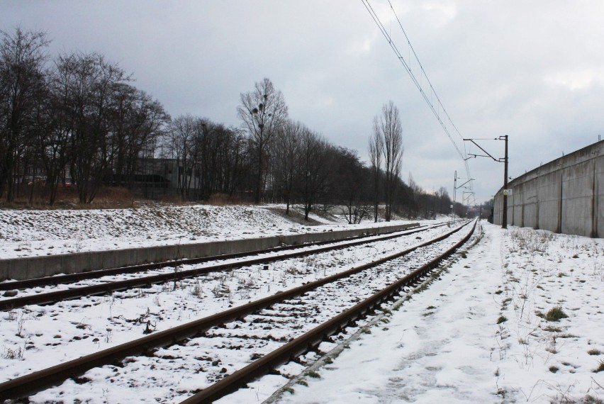 Rewitalizacja linii kolejowej między stacją Łódź Widzew a...