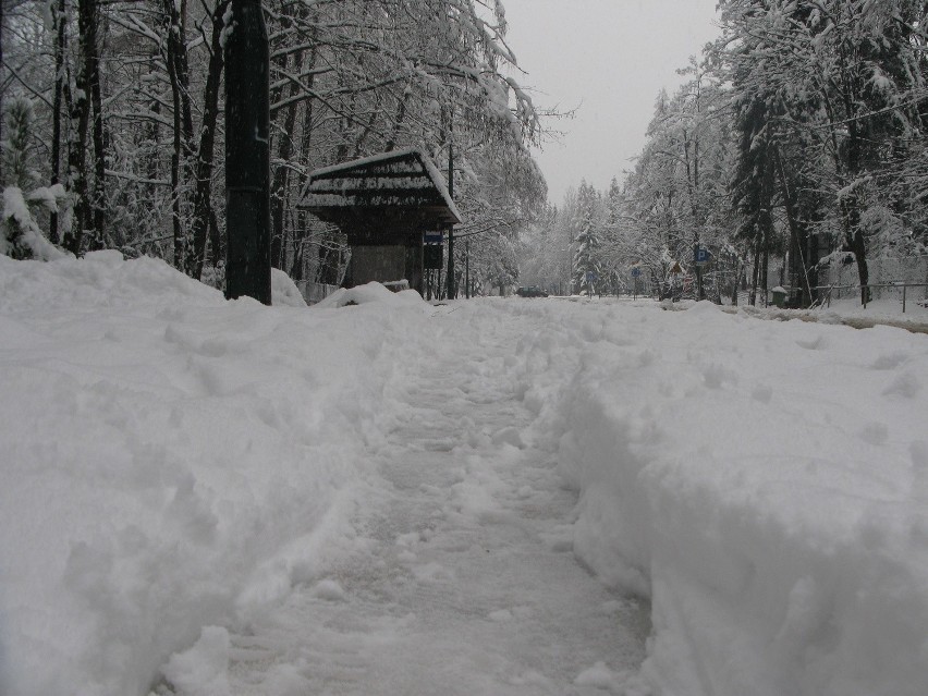 Zima wróciła do Zakopanego. Galeria zdjęć