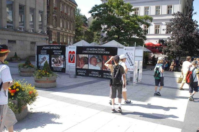 W lipcu wystawa była pokazywana w Bielsku-Białej, do Żywca nie dotarła