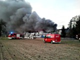 Wielki pożar w fabryce rajstop [ZDJĘCIA+FILM]