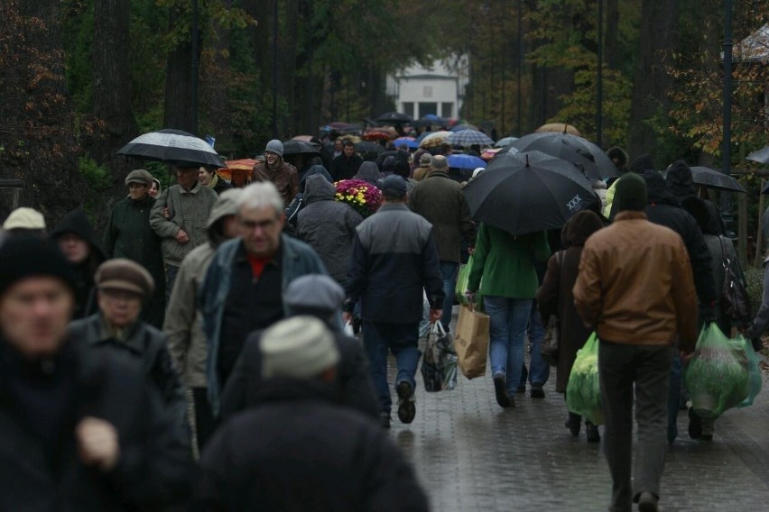 WSZYSTKICH ŚWIĘTYCH: Sprawdź co się dzieje na wrocławskich cmentarzach (ZDJĘCIA)